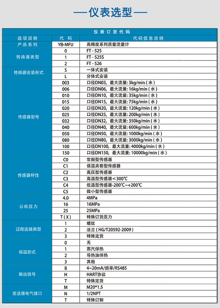 灌裝質(zhì)量流量計(jì)選項(xiàng)表